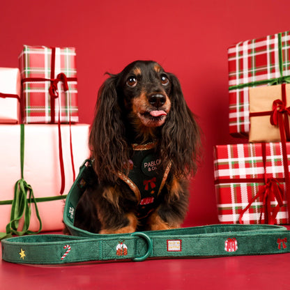 Correa Christmas Velvet