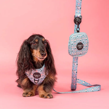 Harness Adjustable-Bogota