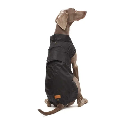 Trench impermeable Pierre