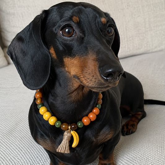 Collar Dion