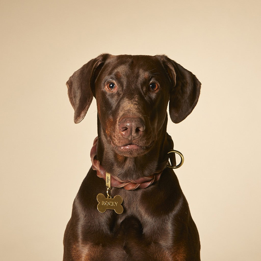 ASCOT-BROWN NECKLACE