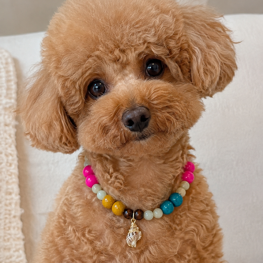 Collar Thalasso