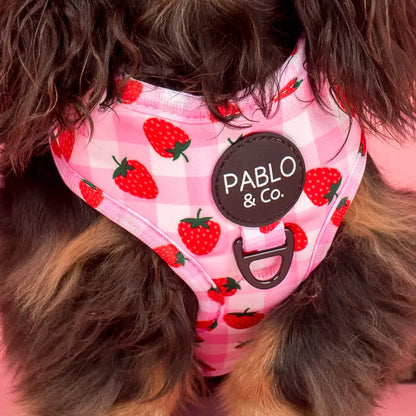 Arnés Ajustable Strawberry Vichy (Venta anticipada)