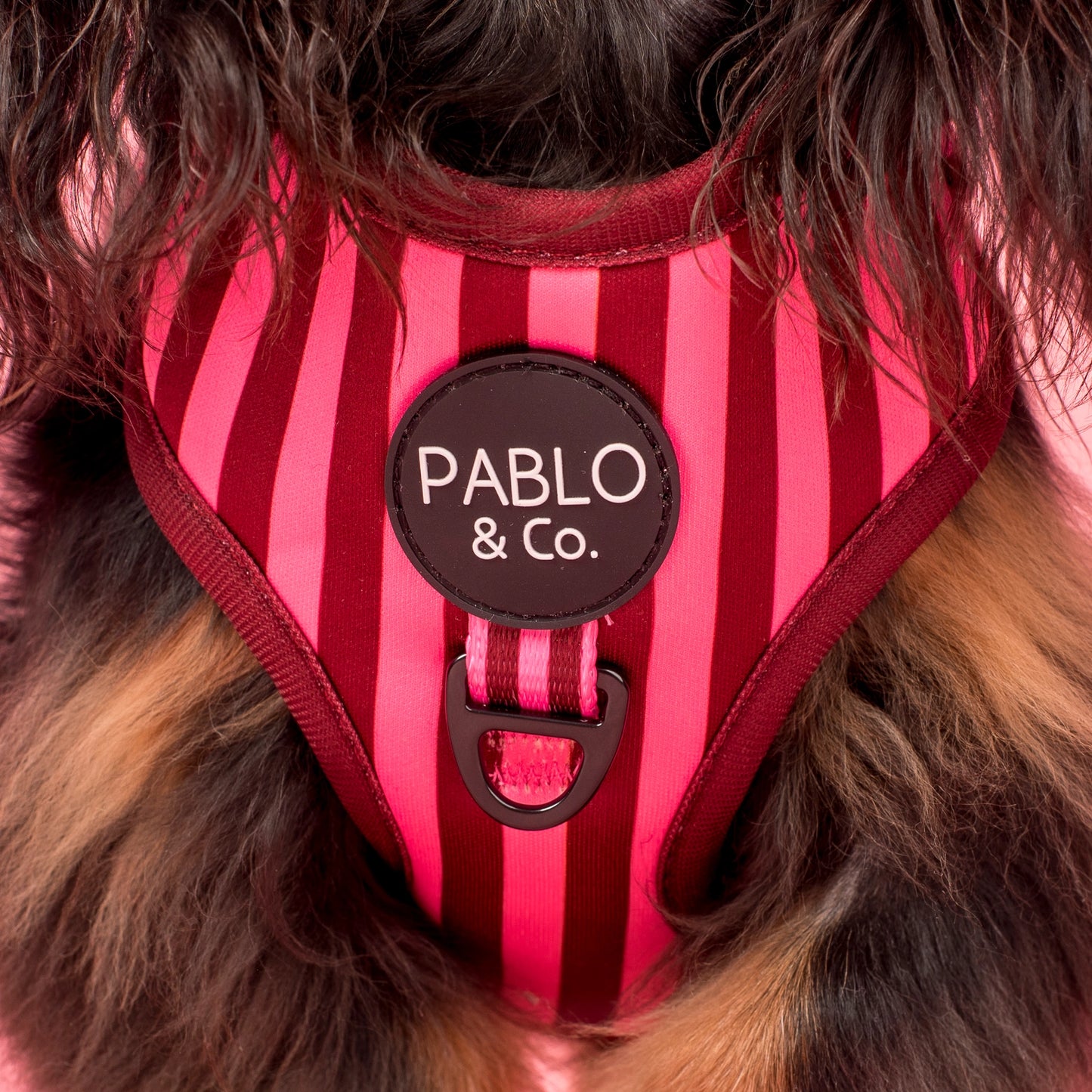 Arnés Ajustable Pink Sunday