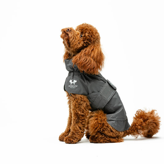 Impermeable Easy Rain Black