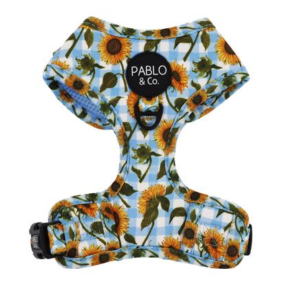 Harness Adjustable-Bogota