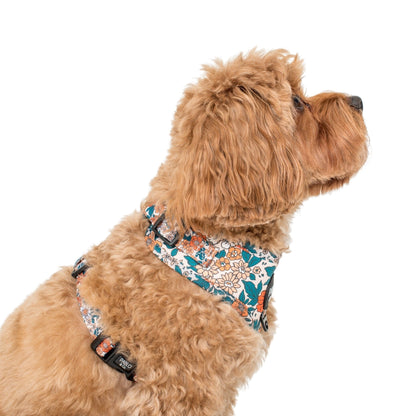 Harness Adjustable-Bogota