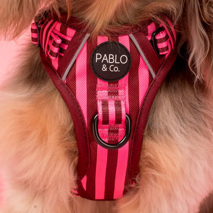Arnés anti-tirones Pink Sunday (Venta anticipada)