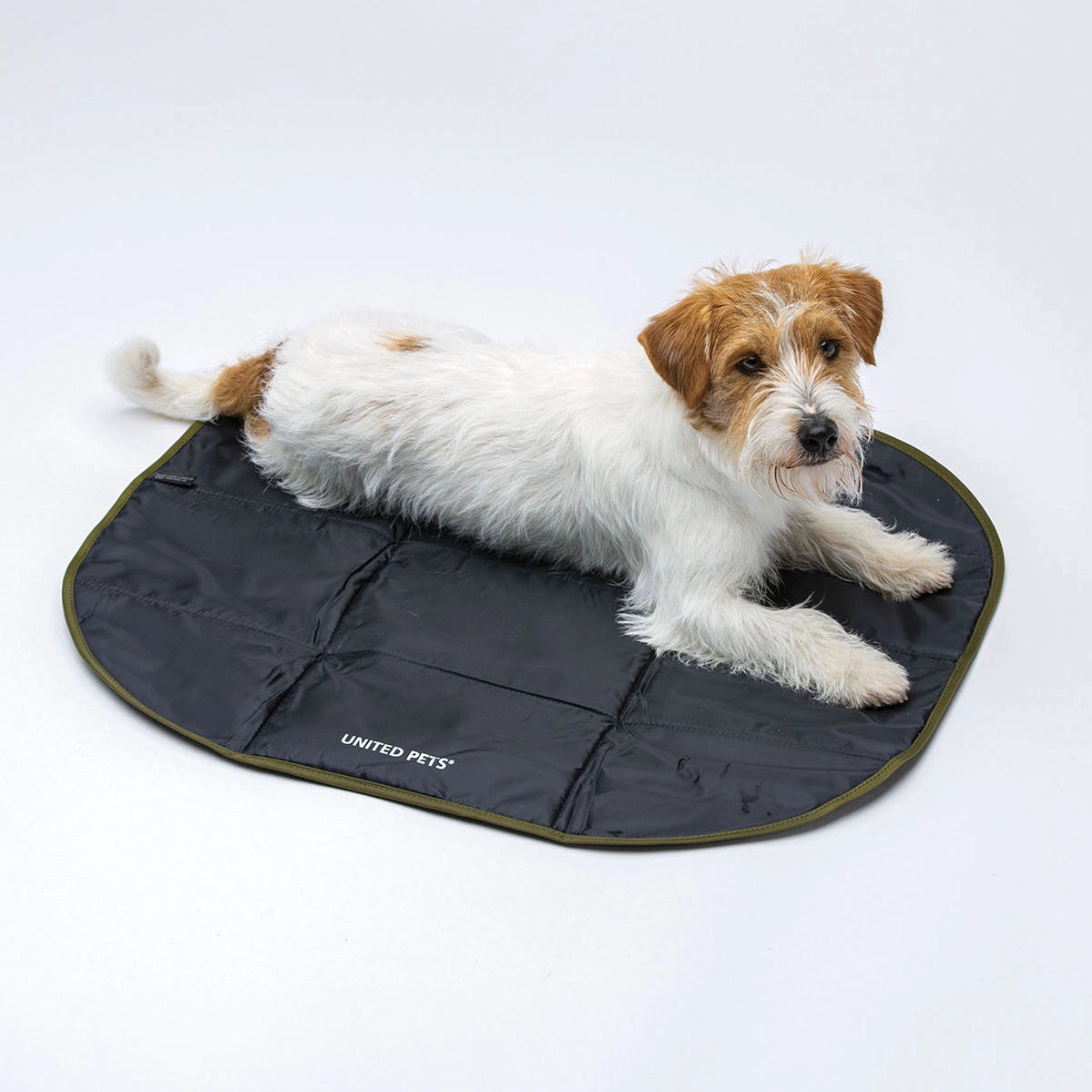 Pack Lazy Dog Bolso + cama + pasaporte