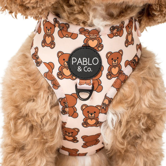 Arnés Ajustable Teddy Dog