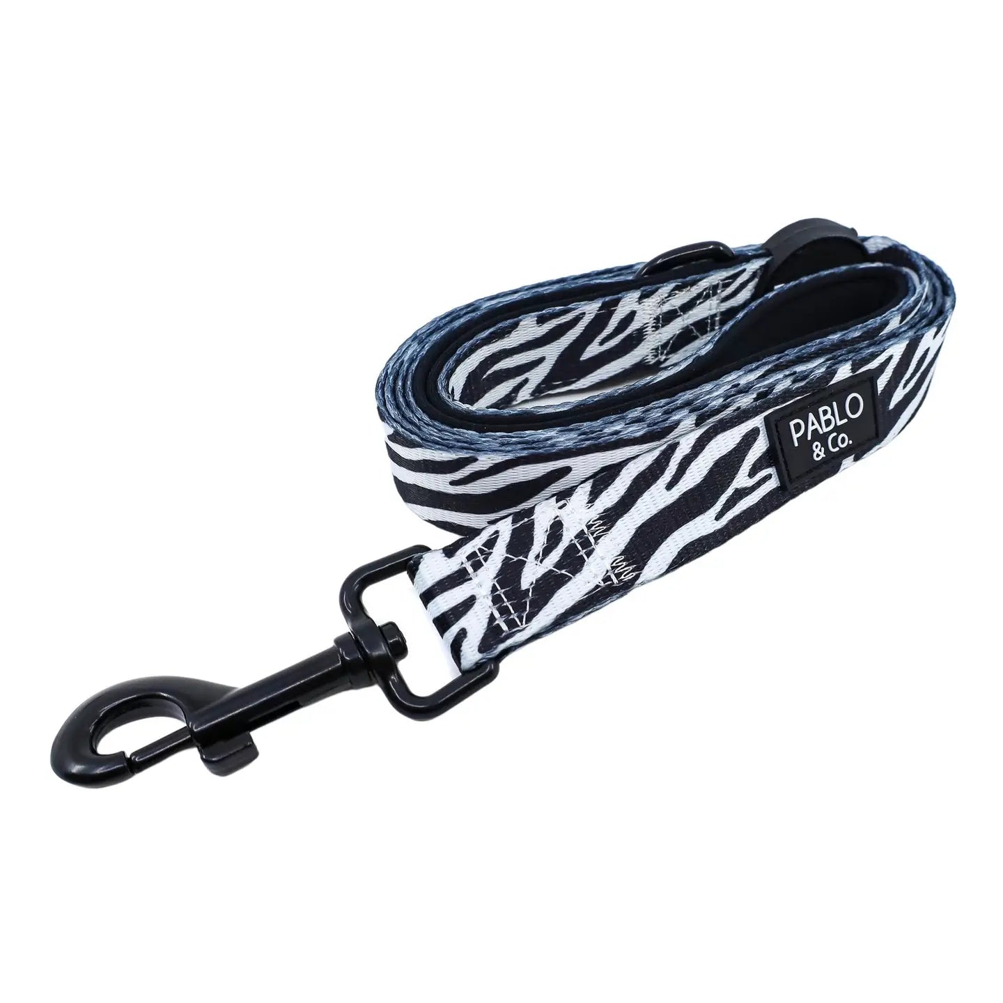 Correa Zebra (Venta Anticipada)