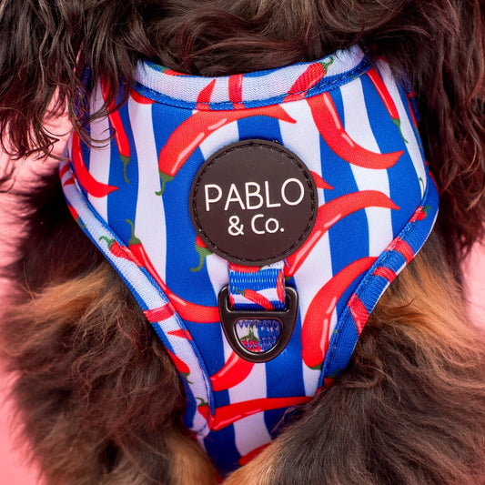 Harness Adjustable-Bogota