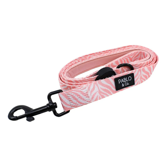Correa Pink Zebra