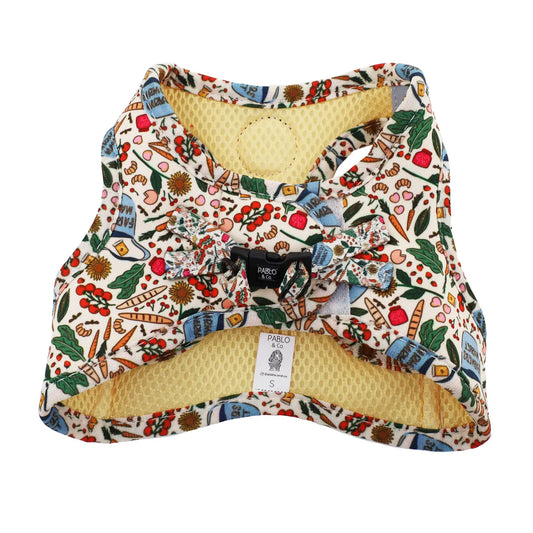 Harness Adjustable-Bogota