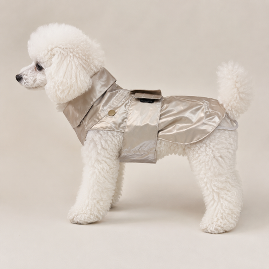 Trench impermeable Pierre