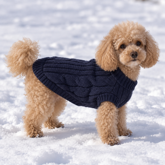 Jersey Mateo