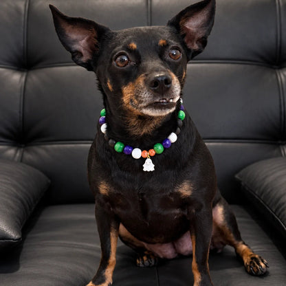 Collar Salem