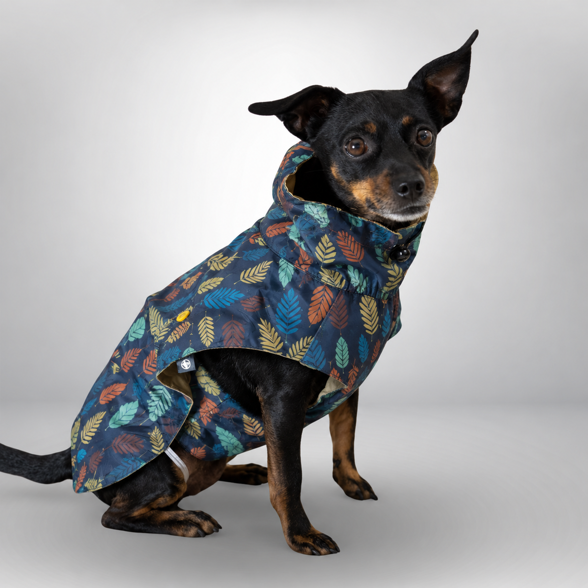 Abrigo impermeable Fall