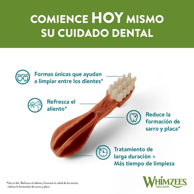 48 cepillos de dientes XS