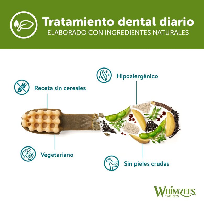 48 cepillos de dientes XS