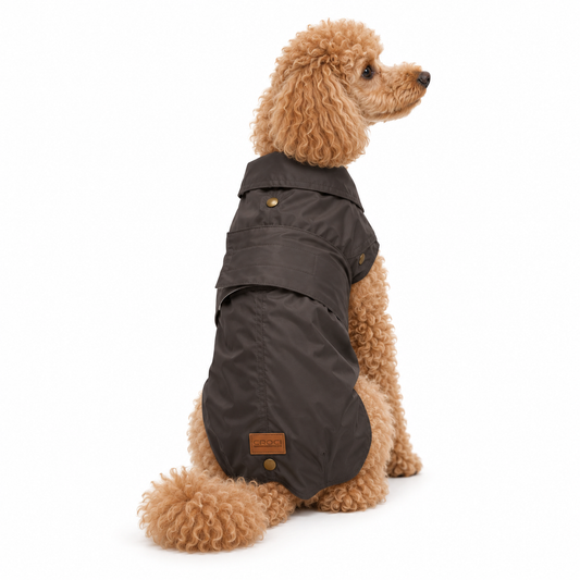 Trench impermeable Philippe