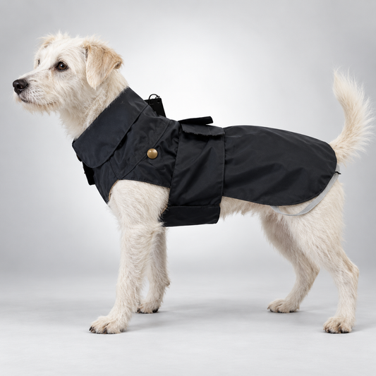 Trench impermeable Paul