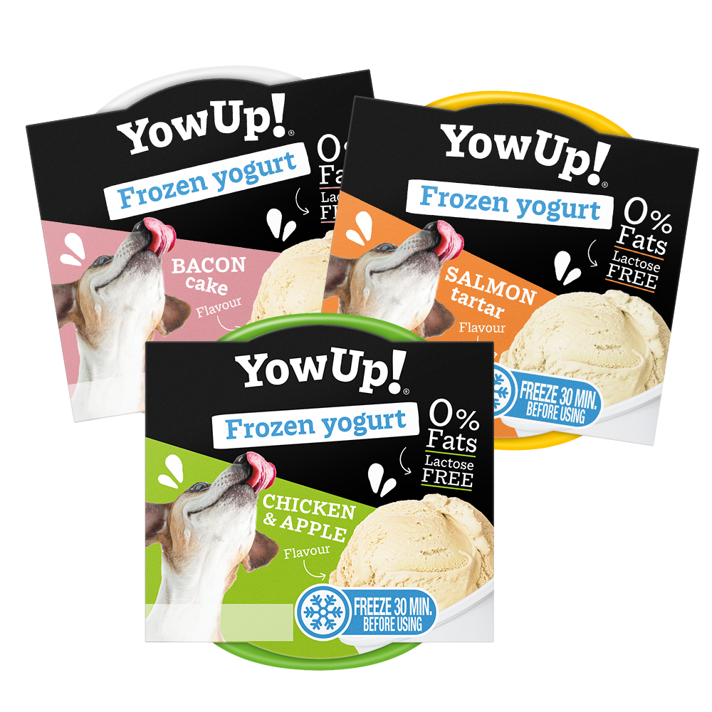 Yow-UP pack 3 helados