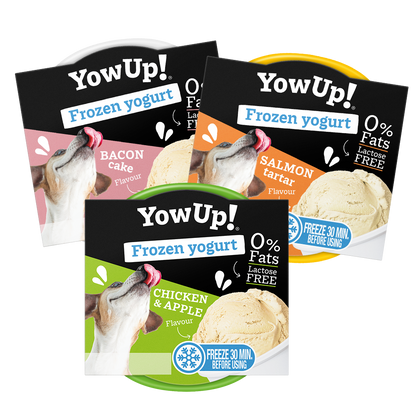 Yow-UP pack 3 helados