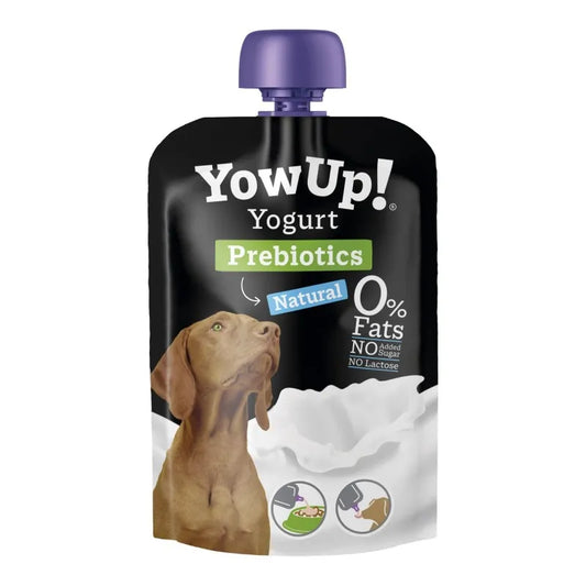 YOW UP! Yogurt natural