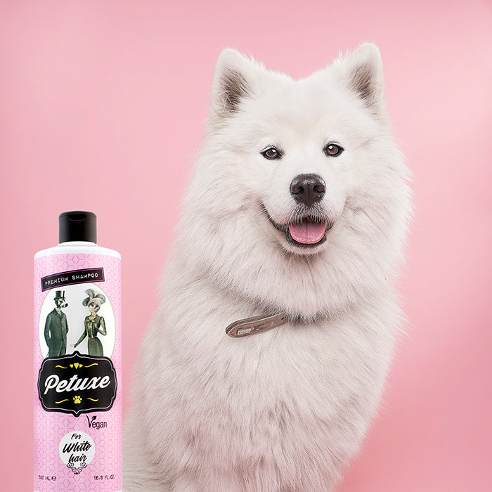 Champú para perros y gatos de pelo blanco