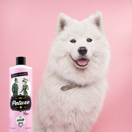 Shampoo for dogs and white-haired cats