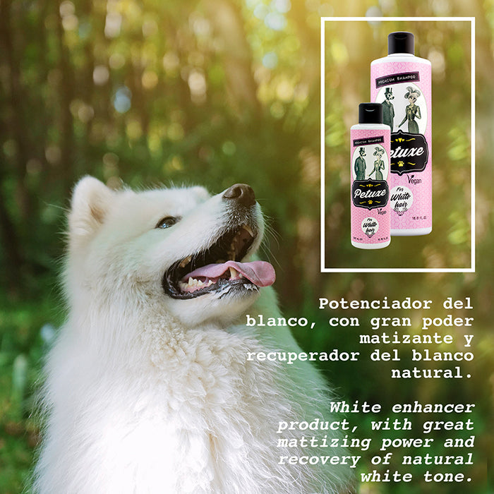 Shampoo for dogs and white-haired cats