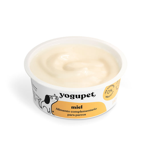 YOGUR CLÁSICO MIEL 110gr